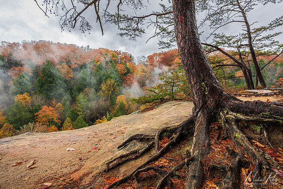 Conkles Hollow Canyon (20220