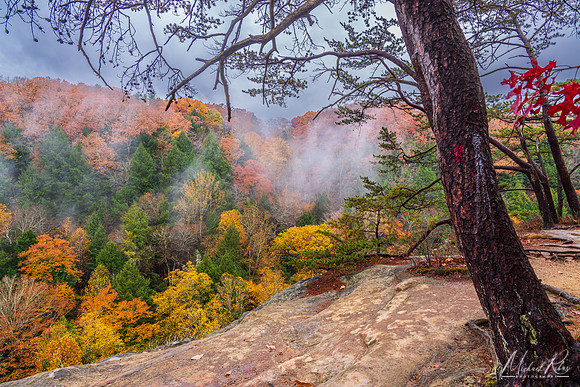 Conkles Hollow Autumn Fog (2022)