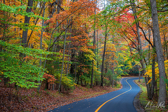 Winding Autumn Road, Grandview (2022)
