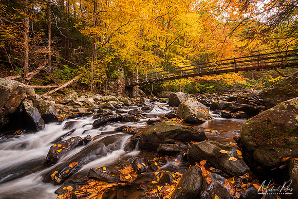 Swinging Bridge at Babcock (2022)