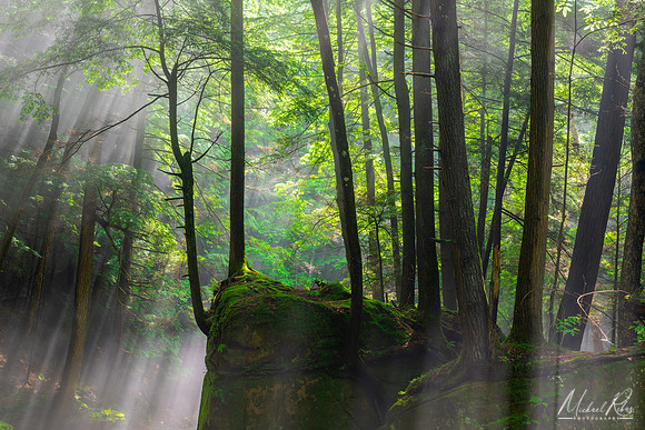 Hocking Hills Mist (2022)