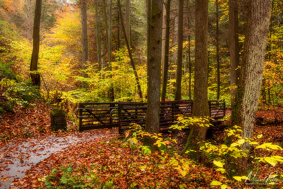 Conkles Hollow Footbridge (2022)