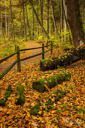 Conkles Hollow in Fall (2022)
