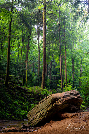 Ash Cave Area (2022)