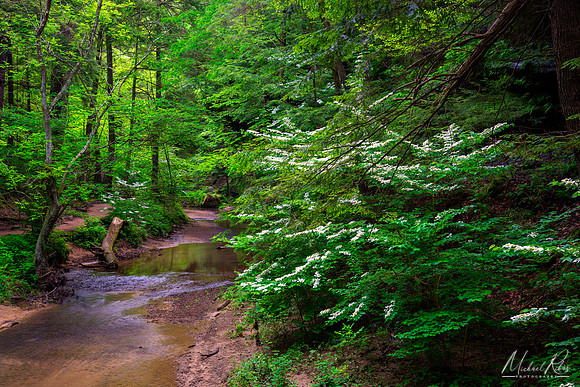Spring at Old Man's Cave Gorge (2022)