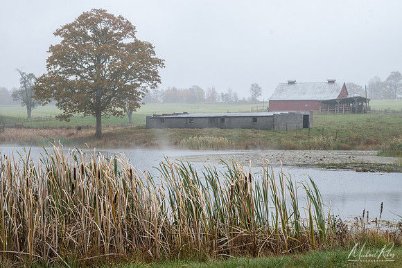 Farm and Morning Fog (2022)