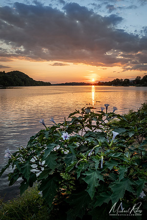 Ohio River Sunset (2024)
