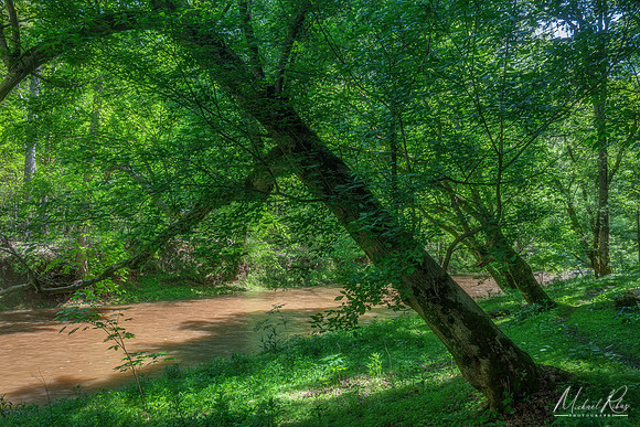On the River Bank in Springtime (2025)