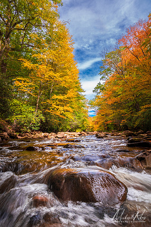 Tea Creek in Autumn (2022)