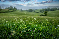 Summer Pasture (2026)