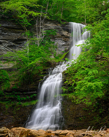 Cathedral Falls (2023)