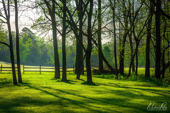 Spring Morn (2023)