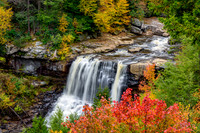 Blackwater Falls (2015)