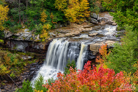 Blackwater Falls (2015)