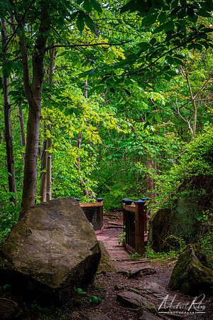 Fort Boreman Trail (2023)