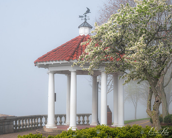 (2022)
