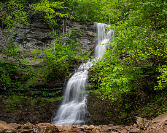 Cathedral Falls ()2023)