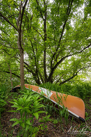Old Canoe (2023)