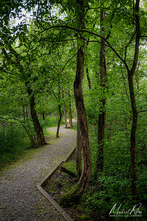 Park Trail (2023)
