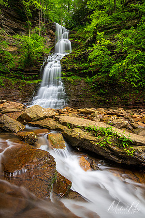 Cathedral Falls (2023)