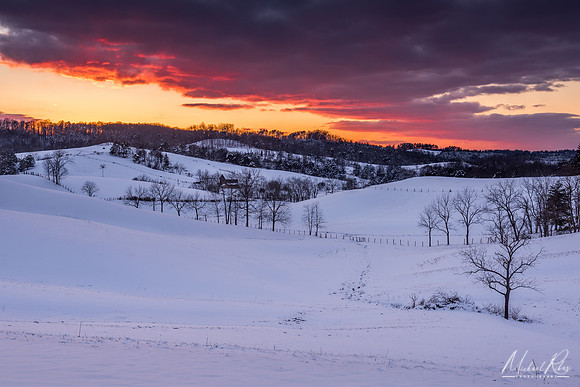 A Winter Evening (2016)