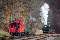 Cass Scenic Railroad (2015)