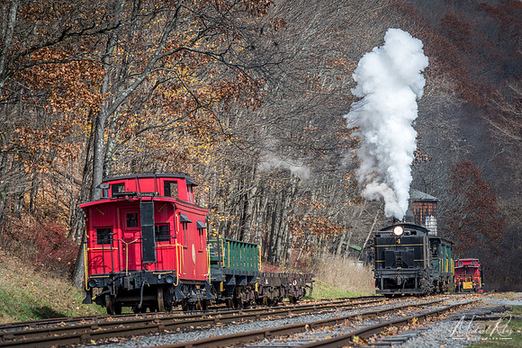 Cass Scenic Railroad (2015)