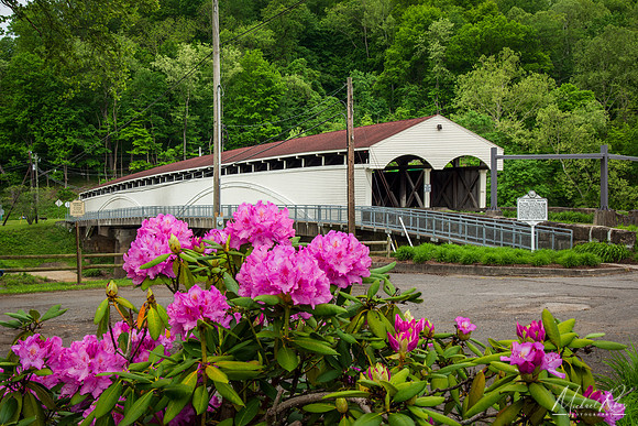 Phillipi Covered Bridge (2024)