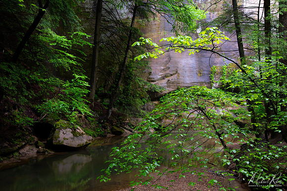 Trees and Cliffs at Hocking Hills (2024)