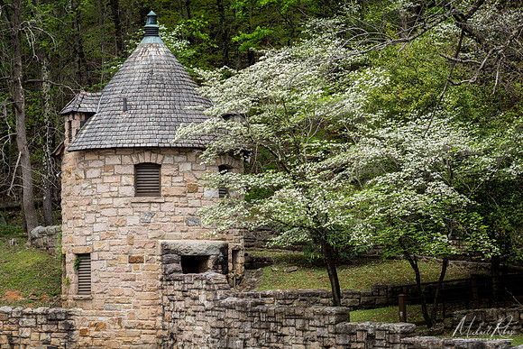 Building at Hawk's Nest (2016)