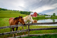 Horses and Edray Barn 2 (2016)