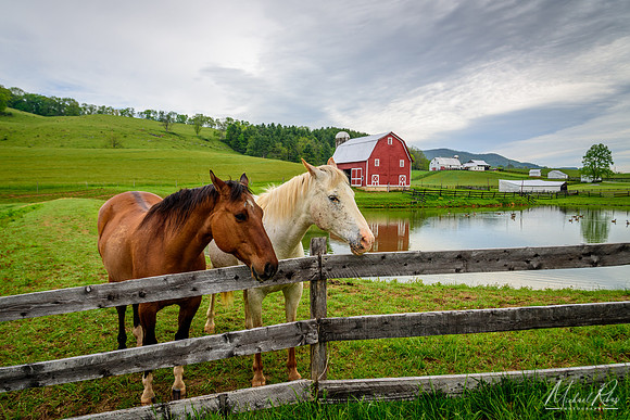 Horses and Edray Barn 2 (2016)