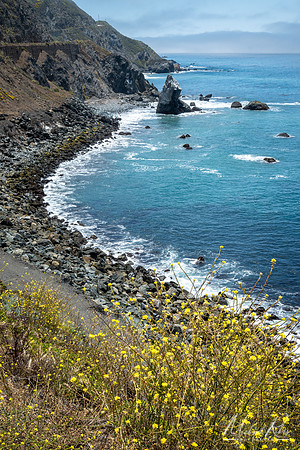 Pacific Ocean Along Big Sur Highway (2023)