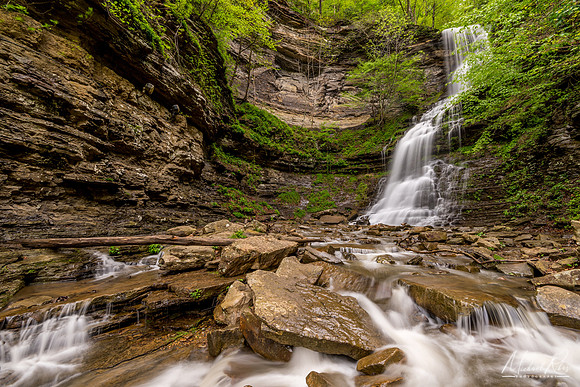 Cathedral Falls in Spring (2016)