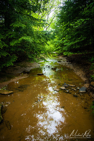 Creek at Boord State Nature Preserve (2022)