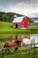 Horses and Edrray Barn (2016)