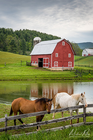 Horses and Edrray Barn (2016)