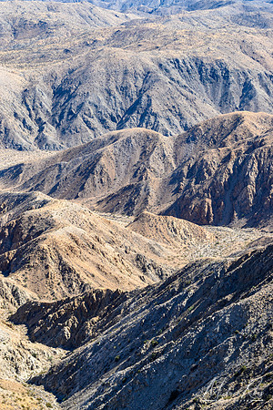 Joshua Tree NP (2023)