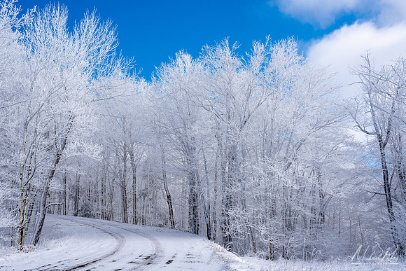Mountain Road in Winter (2019)