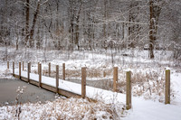 Nature Park Bridge (2019)