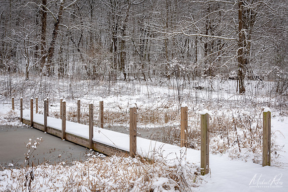 Nature Park Bridge (2019)