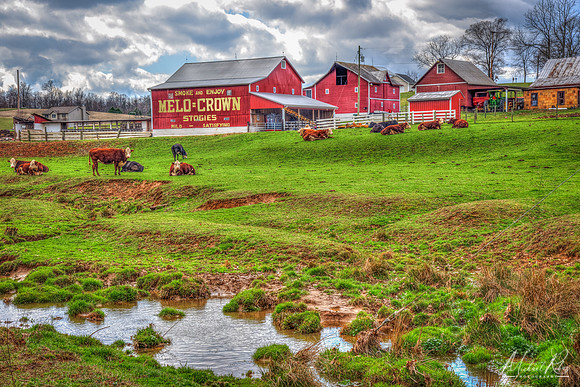 Ohio Farm (2017)