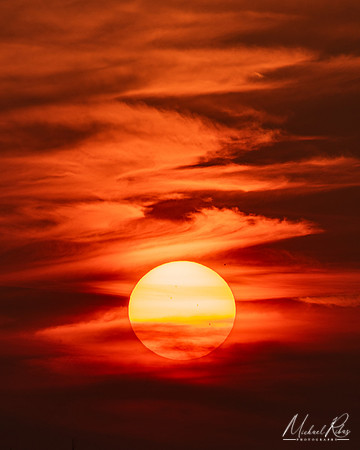 The Setting Sun (2023)