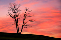 Morning Sky (2017)