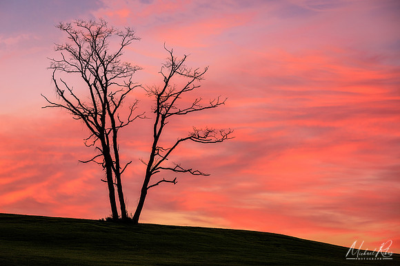 Morning Sky (2017)