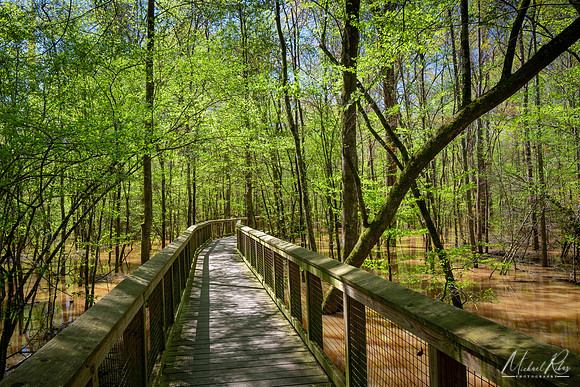 Congaree NP (2021)