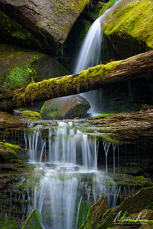 North Bend "Rain Forest" Waterfall (2017)