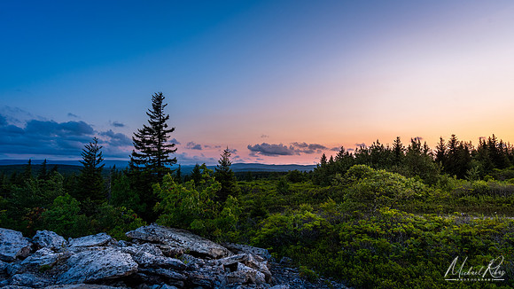 Dolly Sods Summer Evening (2023)