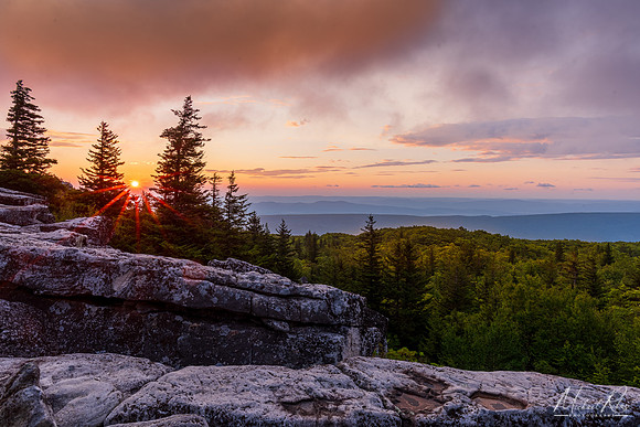 Bear Rocks August Sunrise (2023)