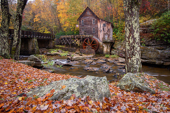 Glade Creek Mill and Fallen Leaves (2016)
